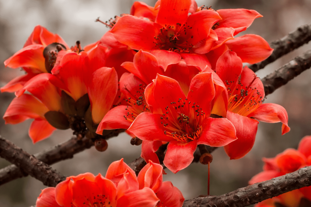 SEMAL (30 Day Series – Day&nbsp;24)